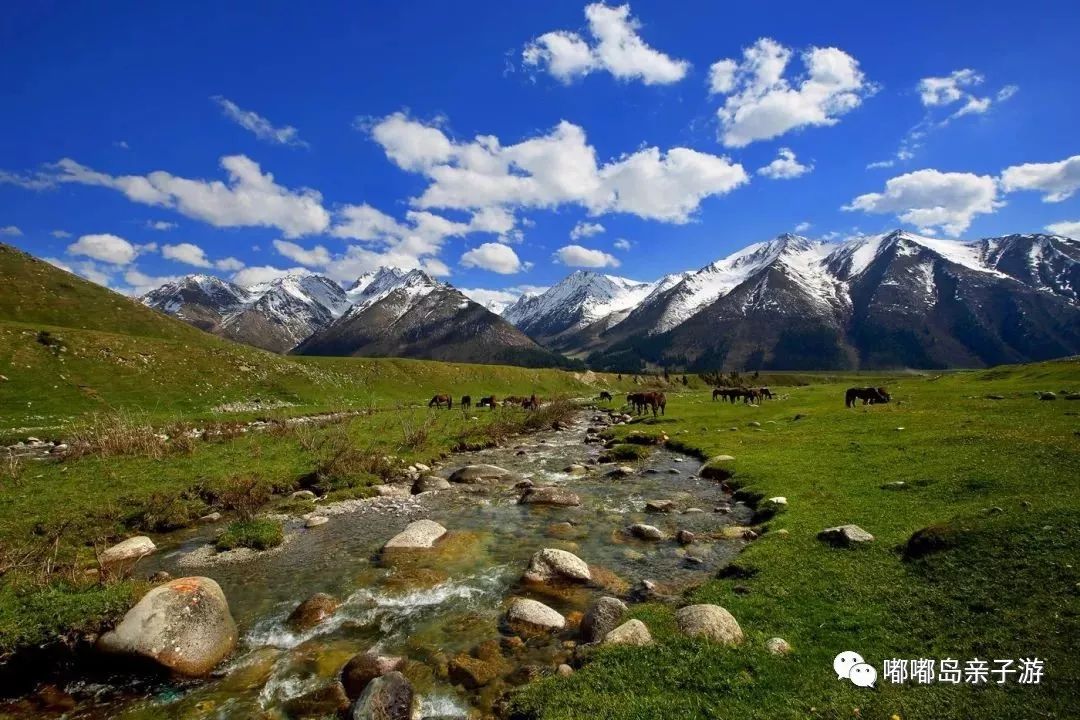 探索新疆秘境,初学者必备之旅
