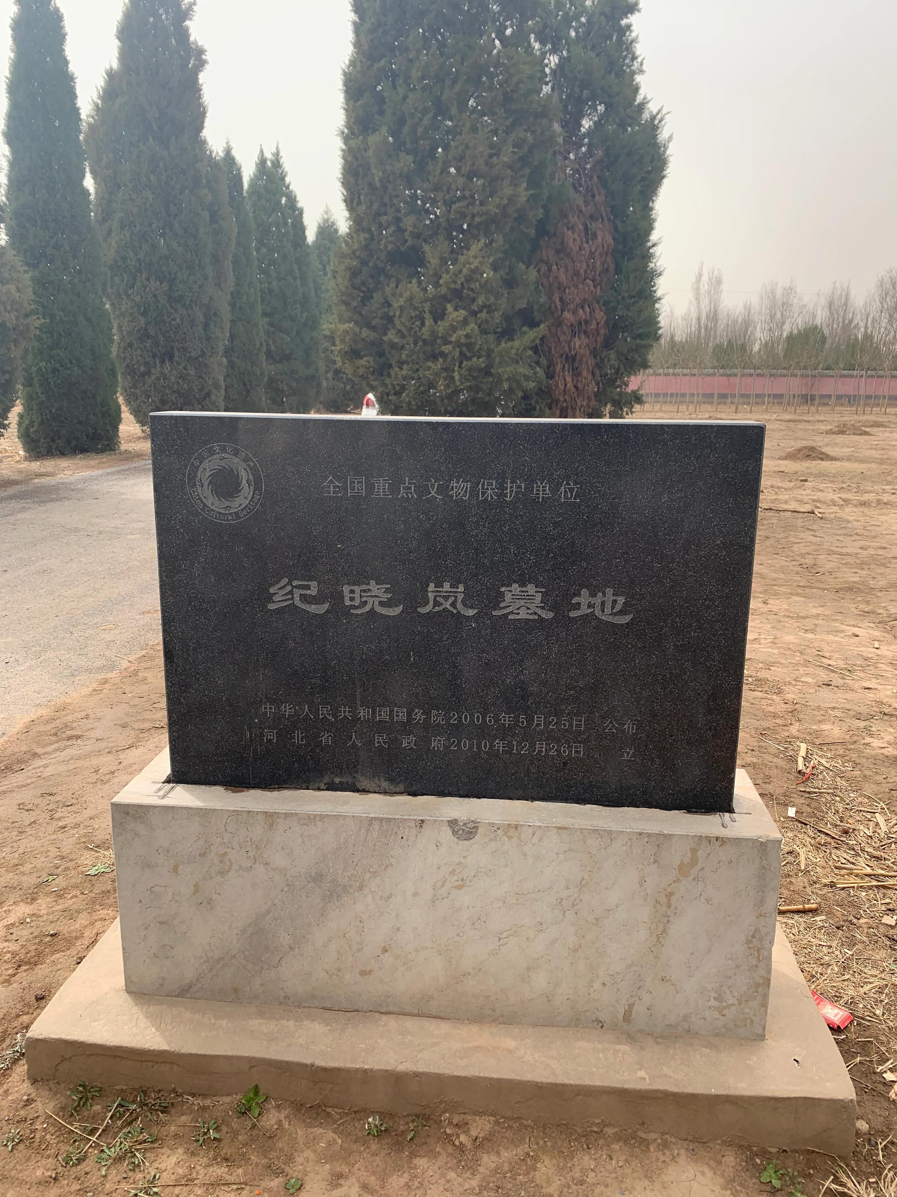 沧州日常,友情、家庭与温馨的旅程