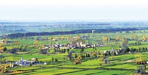 盘锦,湿地之都的生态之旅