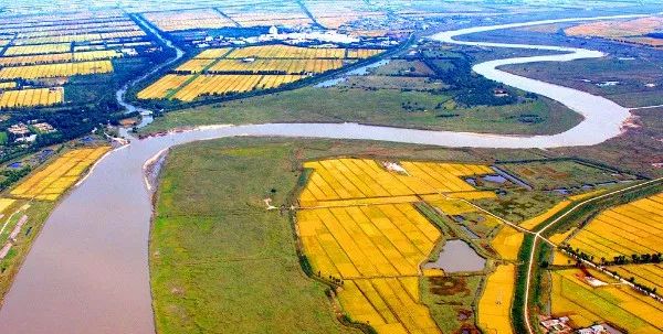 盘锦,湿地之都的生态之旅