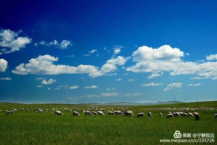 呼伦贝尔，开启智能生活新纪元